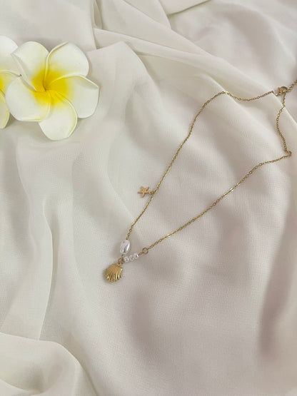 Sea Shell Charm Pendant Chain